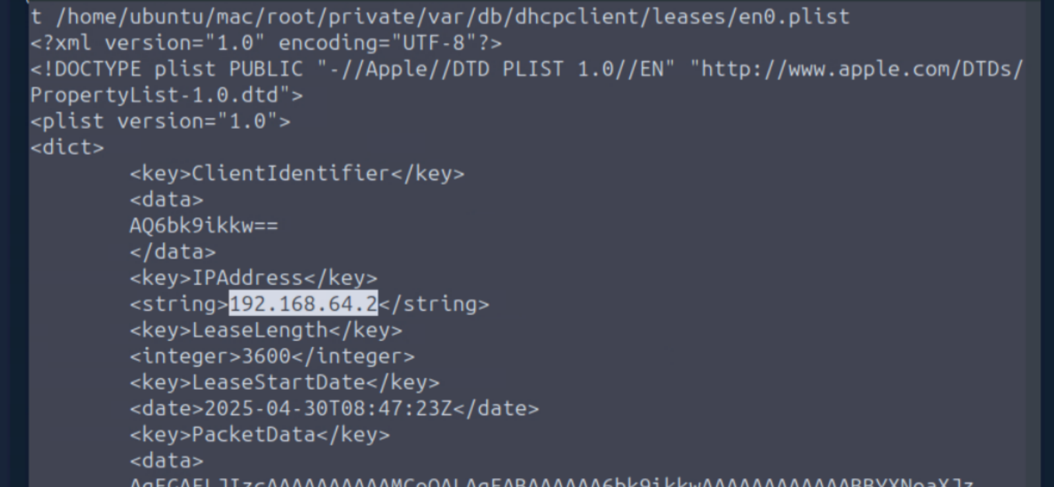 DHCP lease plist contents showing assigned IP address 192.168.64.2